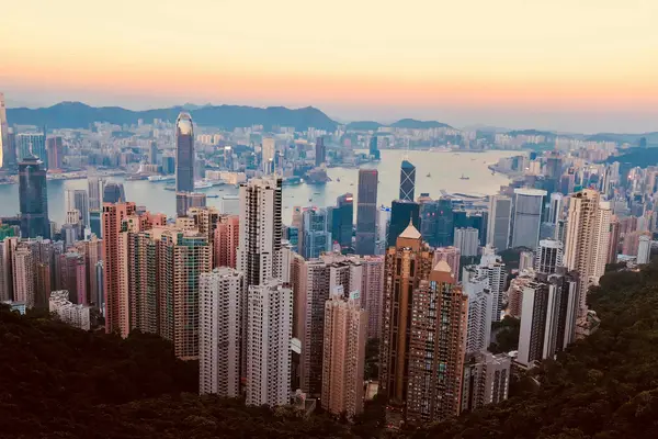抖音自动推广引流app，抖音自动私信软件