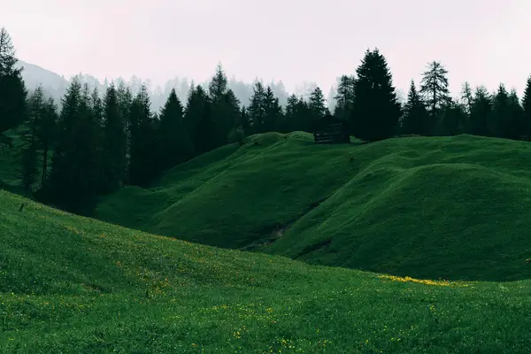 快手如何查看我访问的主页，快手别人看我主页有记录吗网