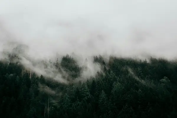 快手账号变更与找回指南