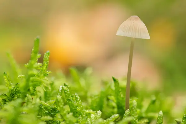 视频怎么压缩发快手，如何让快手不压缩视频网