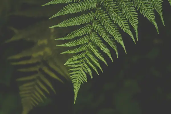 快手极速版如何能注销，快手极速版怎么注销账户