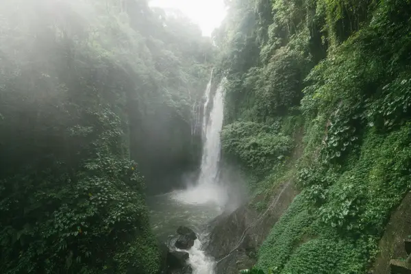 【个人专属】揭秘我的秘密花园——一段独享的时光之旅