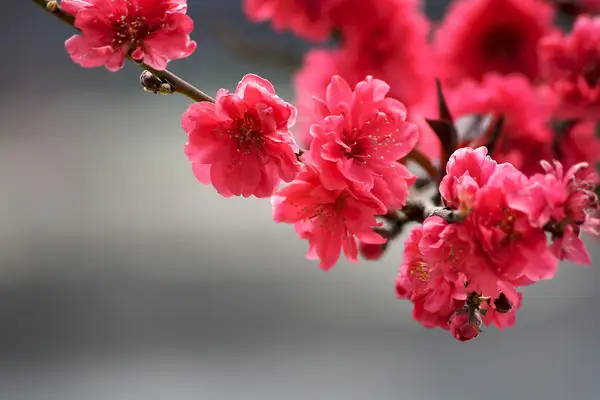 快手可以设置画质省流量吗，快手画质模糊怎么调节